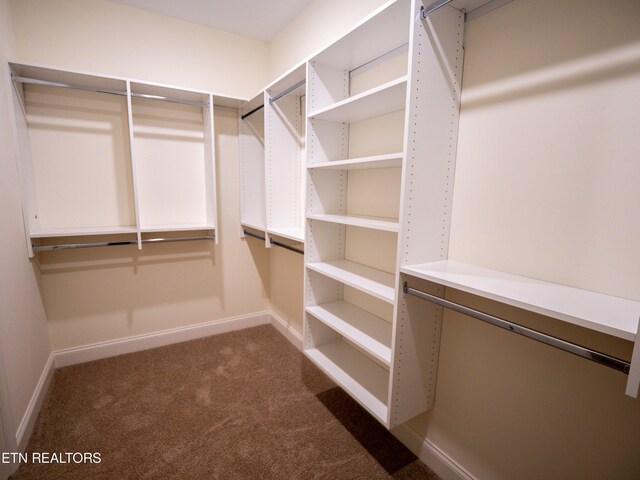 walk in closet featuring carpet floors