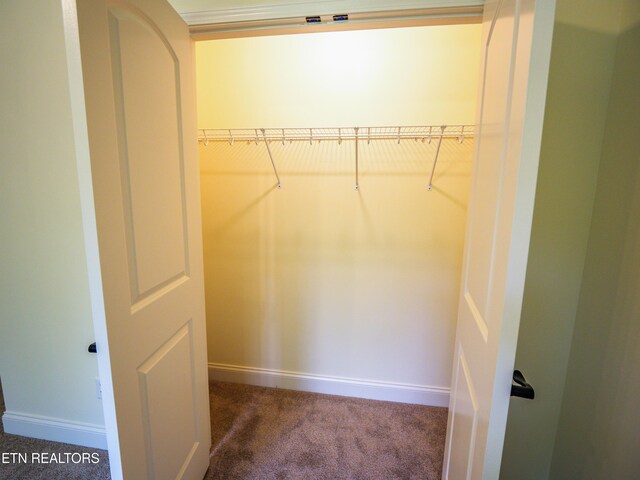 view of closet