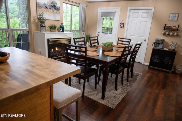 dining space with dark hardwood / wood-style floors