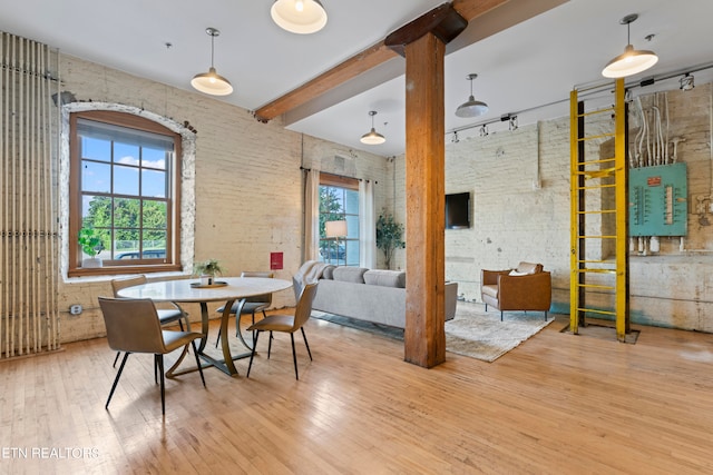 dining space featuring light wood-type flooring, plenty of natural light, and rail lighting