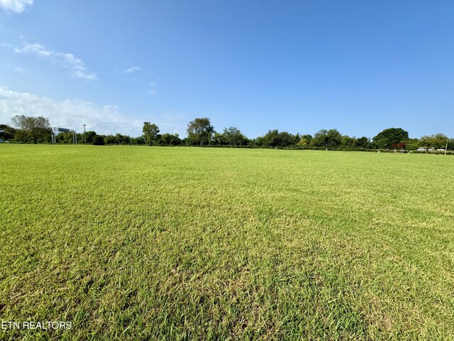 LOT142 Arbor Ln, Dandridge, TN 37725 - photo 3