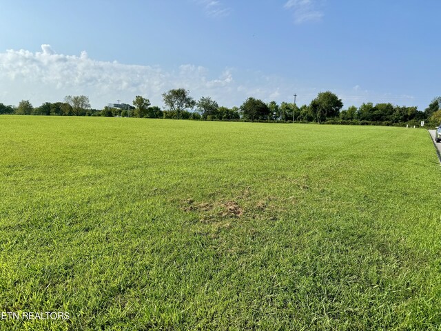 LOT142 Arbor Ln, Dandridge, TN 37725 - photo 4