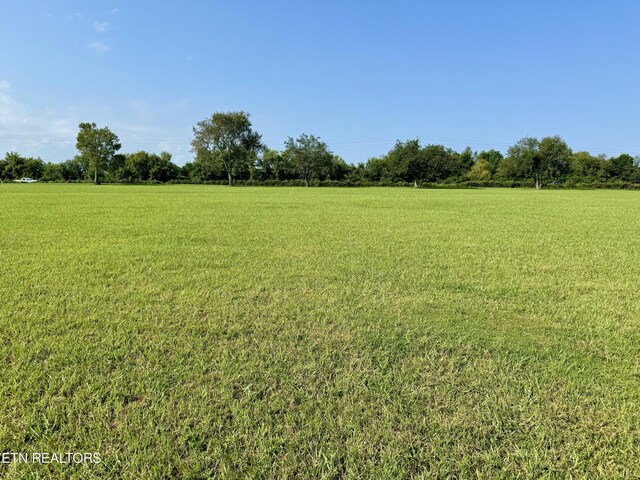 LOT142 Arbor Ln, Dandridge, TN 37725 - photo 10