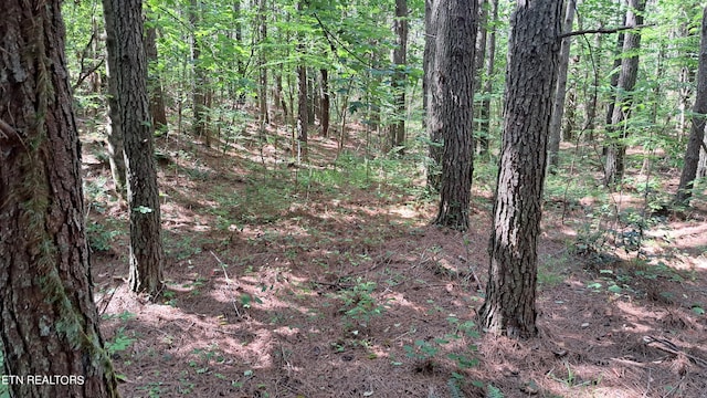 Listing photo 3 for Airport Rd, Pca Rockwood TN 37854