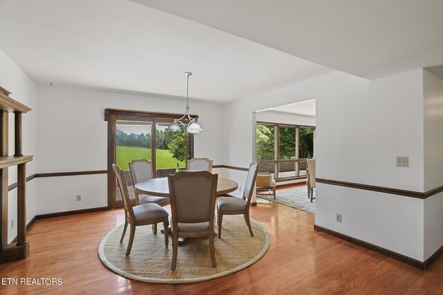 dining area with an inviting chandelier, a wealth of natural light, and light hardwood / wood-style flooring