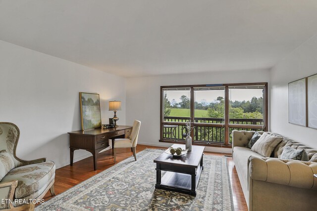 living room with hardwood / wood-style flooring