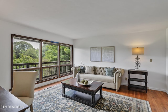 living room with wood-type flooring