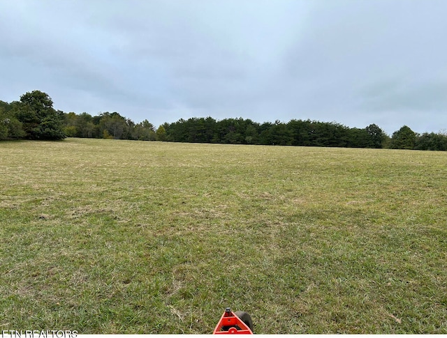 view of yard featuring a rural view