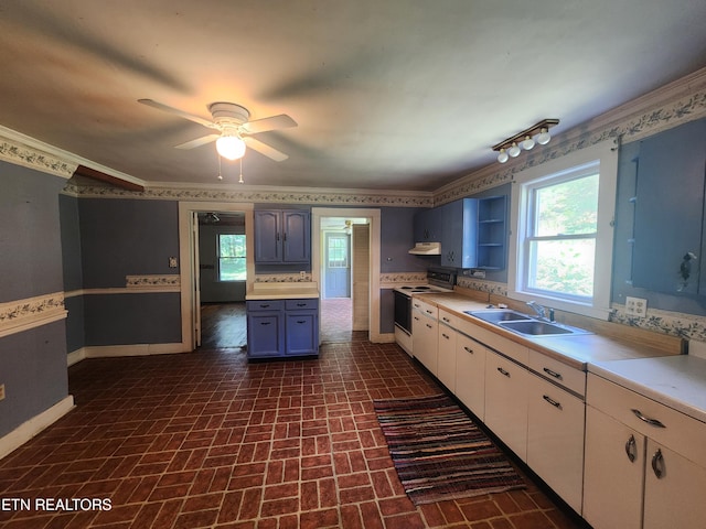 kitchen with ornamental molding, sink, a wealth of natural light, and electric stove