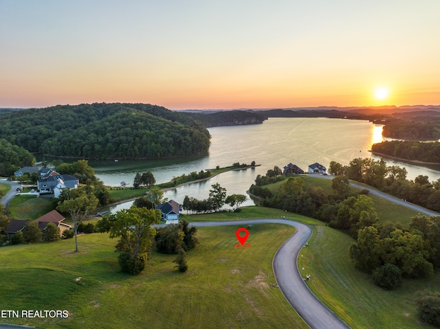 6360 Coves Edge Trl, Russellville TN, 37860 land for sale