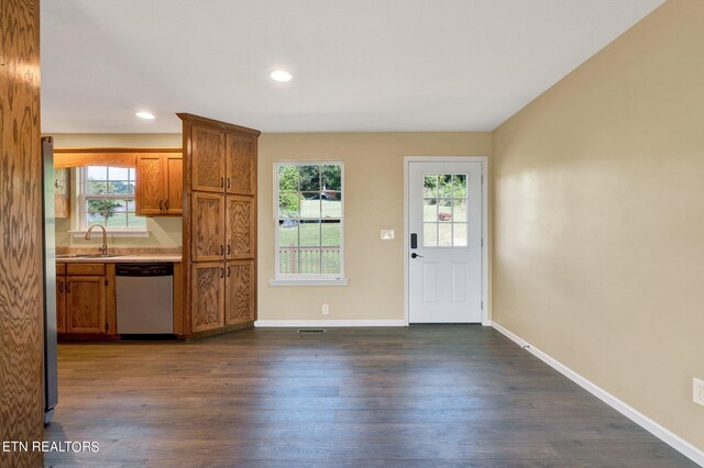 kitchen featuring stainless steel dishwasher, sink, and dark wood-type flooring