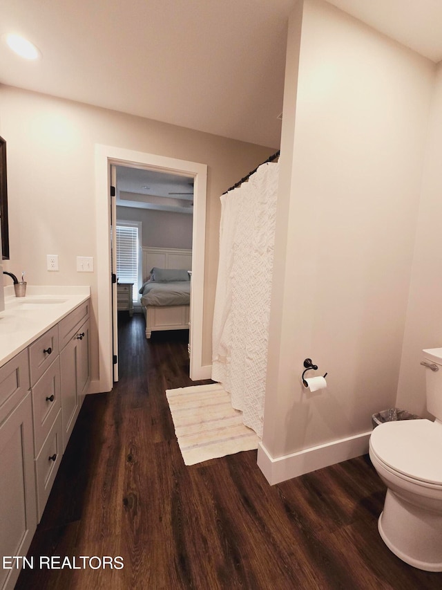 bathroom featuring vanity, toilet, and hardwood / wood-style floors