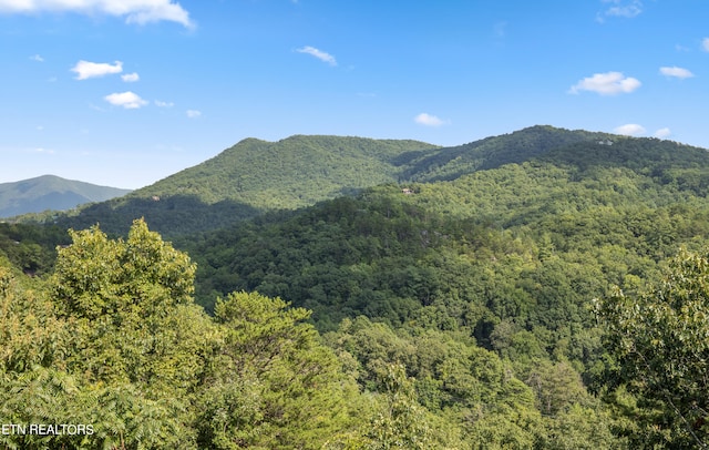 view of mountain feature