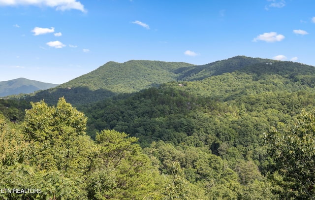 property view of mountains