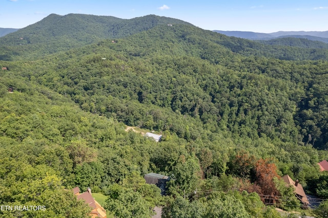 property view of mountains