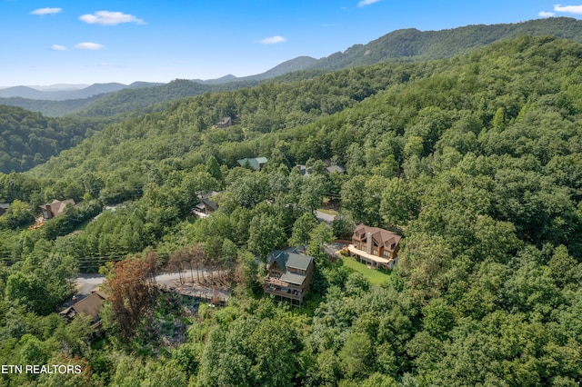 birds eye view of property with a mountain view