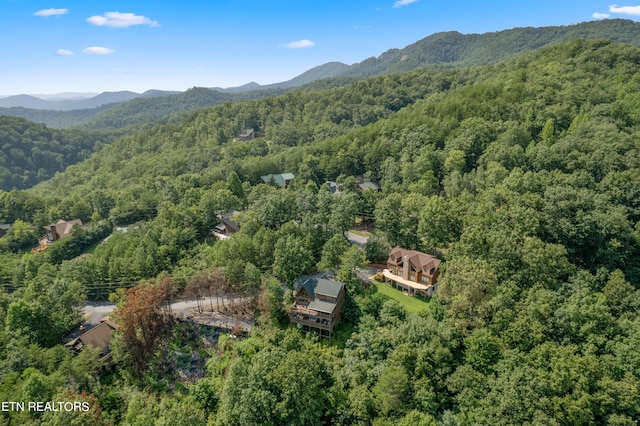 drone / aerial view featuring a mountain view