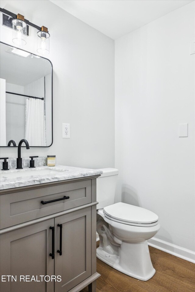 bathroom featuring toilet, vanity, and wood-type flooring