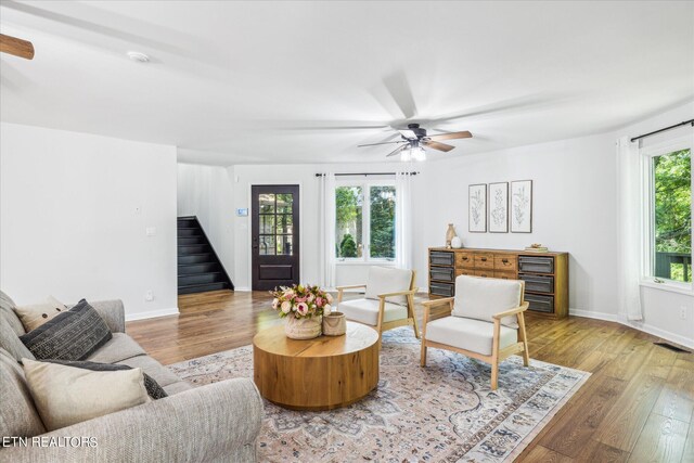 living room with ceiling fan and light wood-type flooring