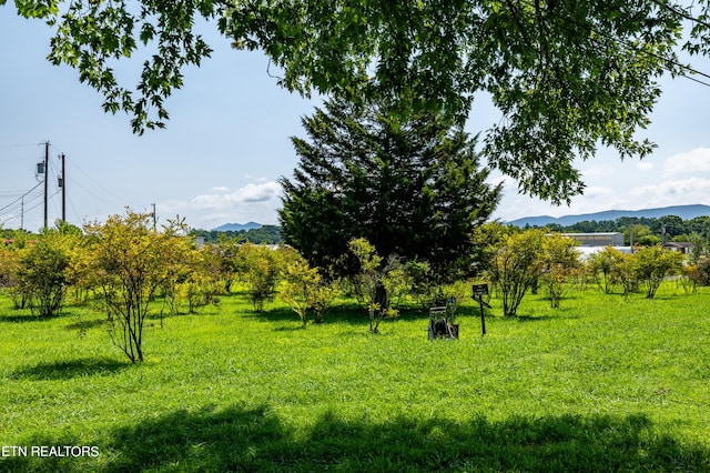 view of yard with a mountain view