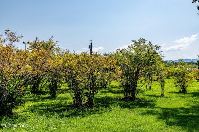 view of nature