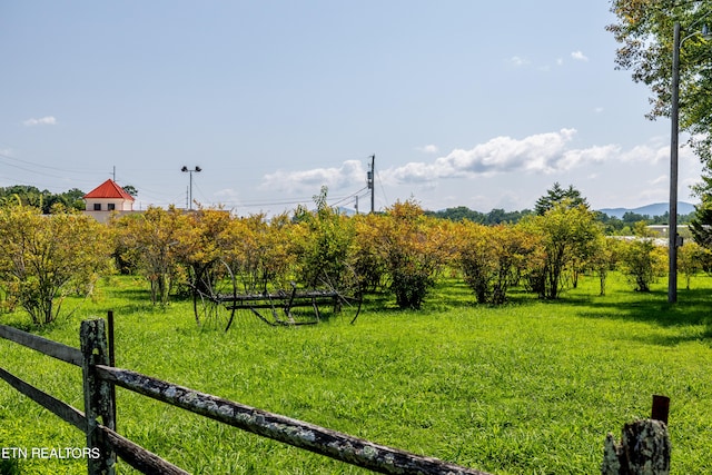 view of yard with a rural view