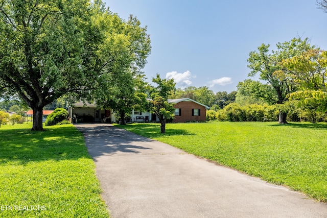 111 Harmon Rd, Maryville, TN 37804 - photo 3