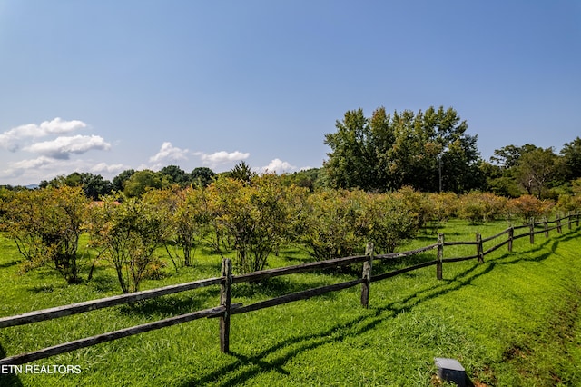 view of yard with a rural view