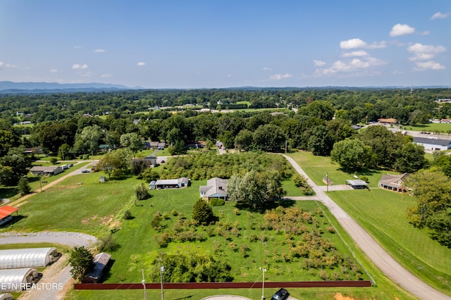 bird's eye view