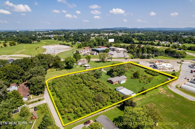 111 Harmon Rd, Maryville, TN 37804 - photo 9