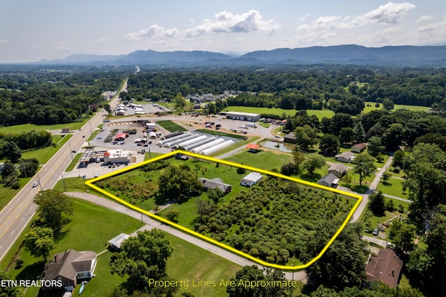 111 Harmon Rd, Maryville, TN 37804 - photo 8