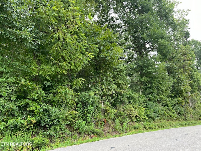 Listing photo 2 for County Rd, Jamestown TN 38556