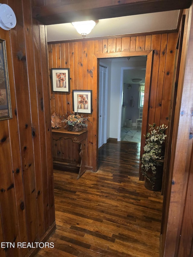 hall with dark hardwood / wood-style floors and wood walls