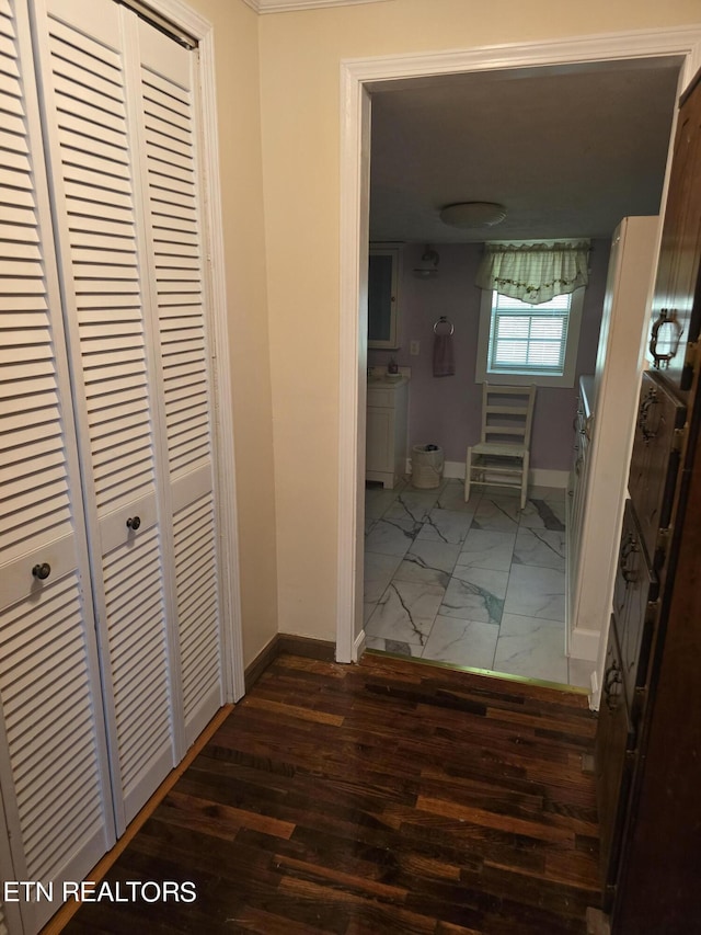 hallway with dark hardwood / wood-style floors