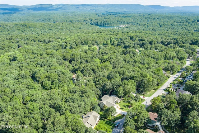 aerial view featuring a mountain view and a view of trees