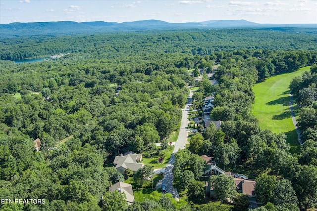 aerial view with a mountain view and a view of trees