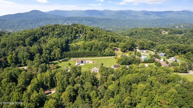 aerial view with a mountain view