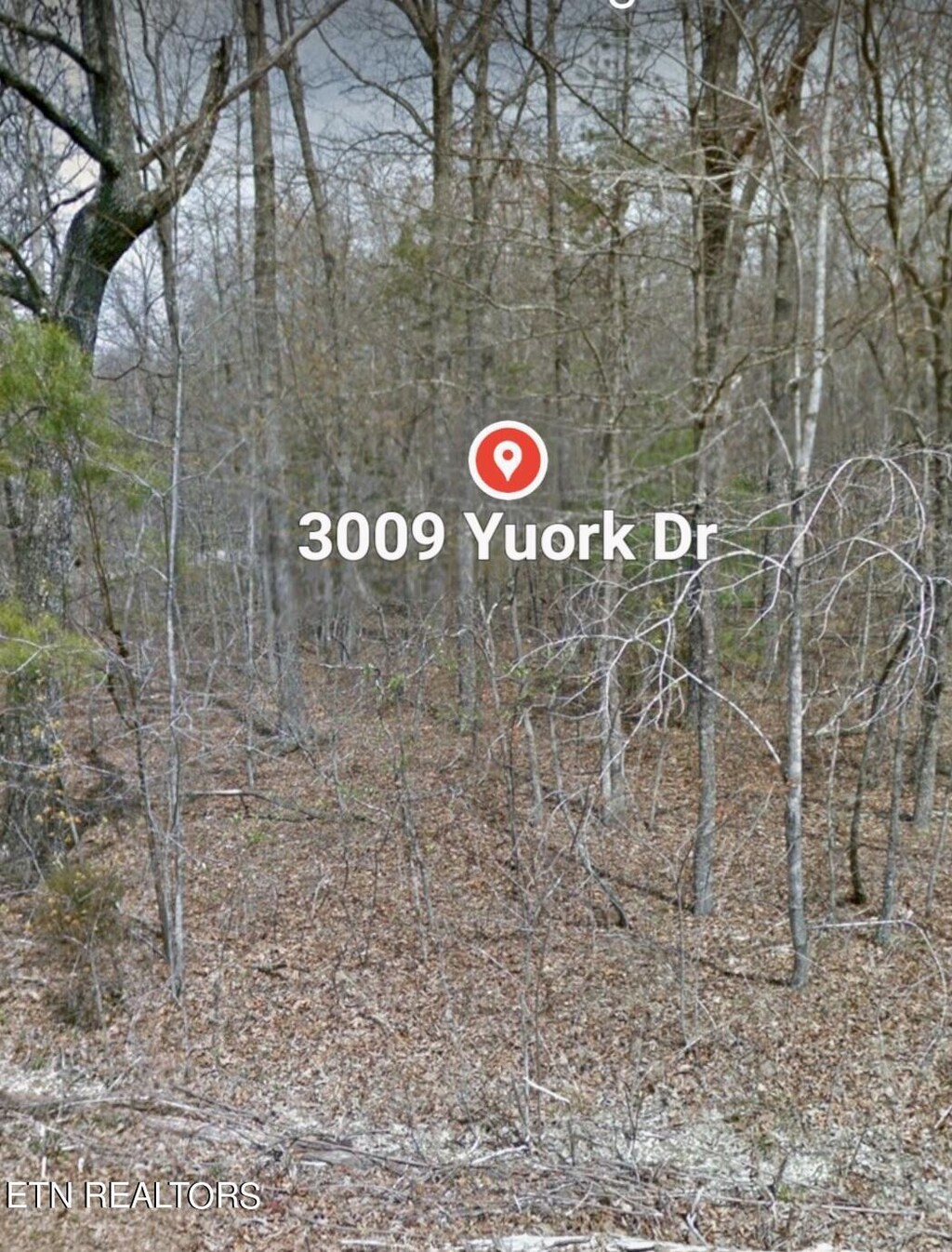 3009 Yuork Dr, Crossville, TN 38572 - photo 1