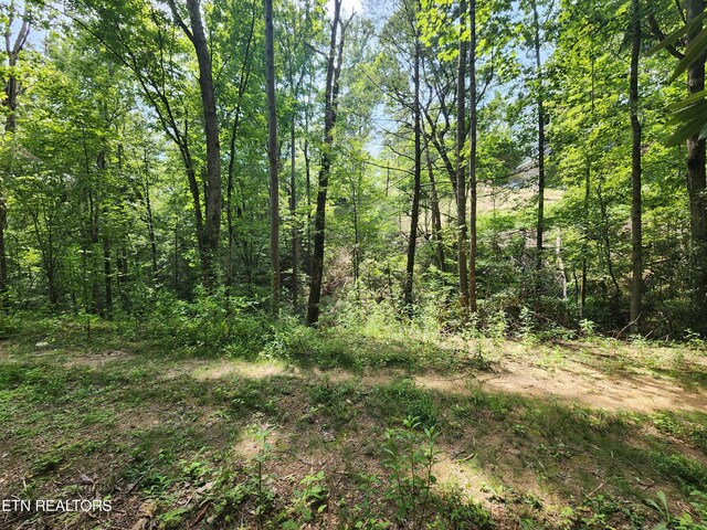 LOT30 Birch Dr, Sevierville, TN 37876