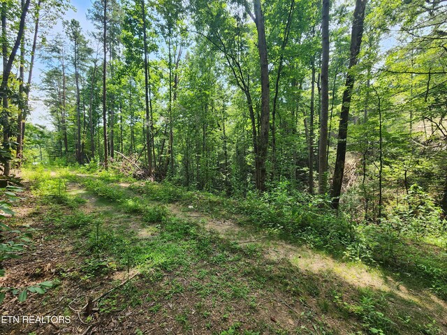LOT30 Birch Dr, Sevierville, TN 37876