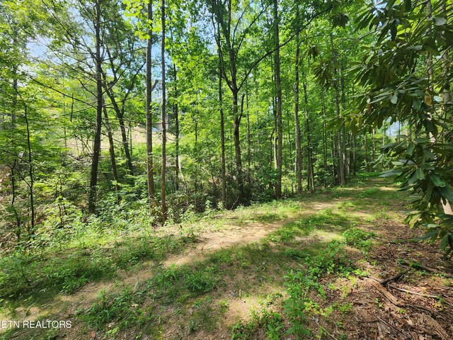 LOT30 Birch Dr, Sevierville, TN 37876