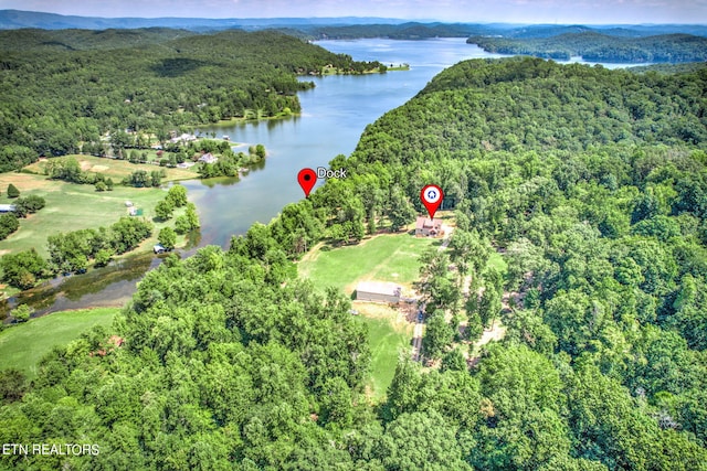 birds eye view of property featuring a wooded view and a water view