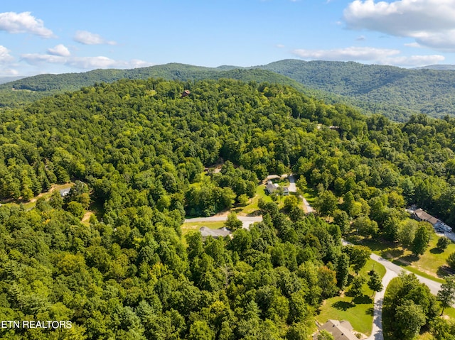 drone / aerial view with a mountain view