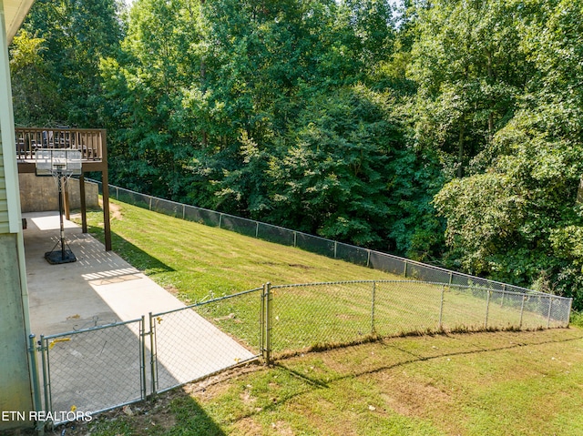 view of yard featuring a wooden deck