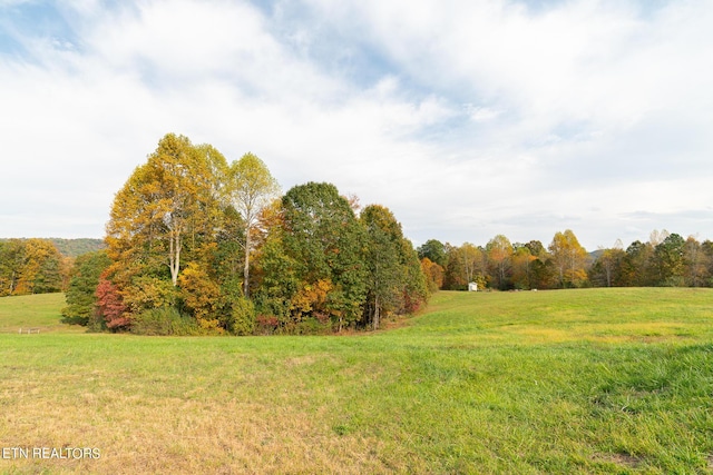 view of yard with a rural view and a forest view