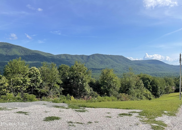 view of mountain feature with a wooded view