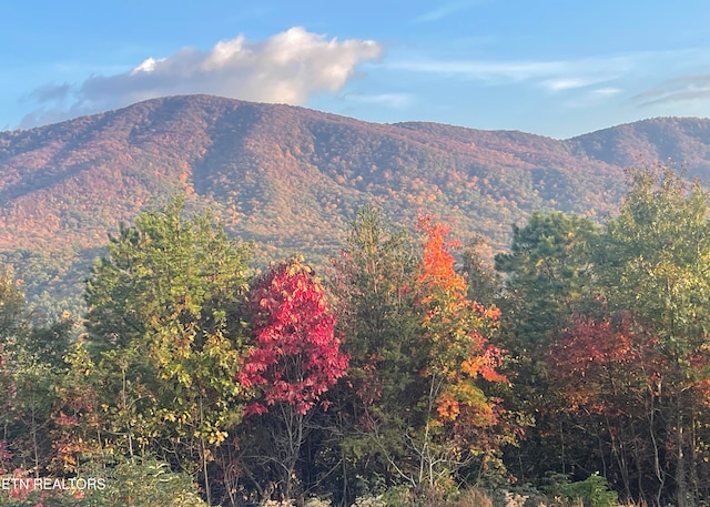 property view of mountains featuring a wooded view