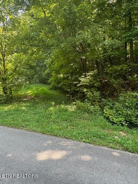 Listing photo 3 for 00 County Road 2, Riceville TN 37370