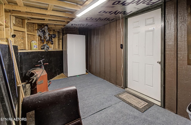 basement featuring carpet floors