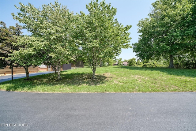 exterior space with a front yard